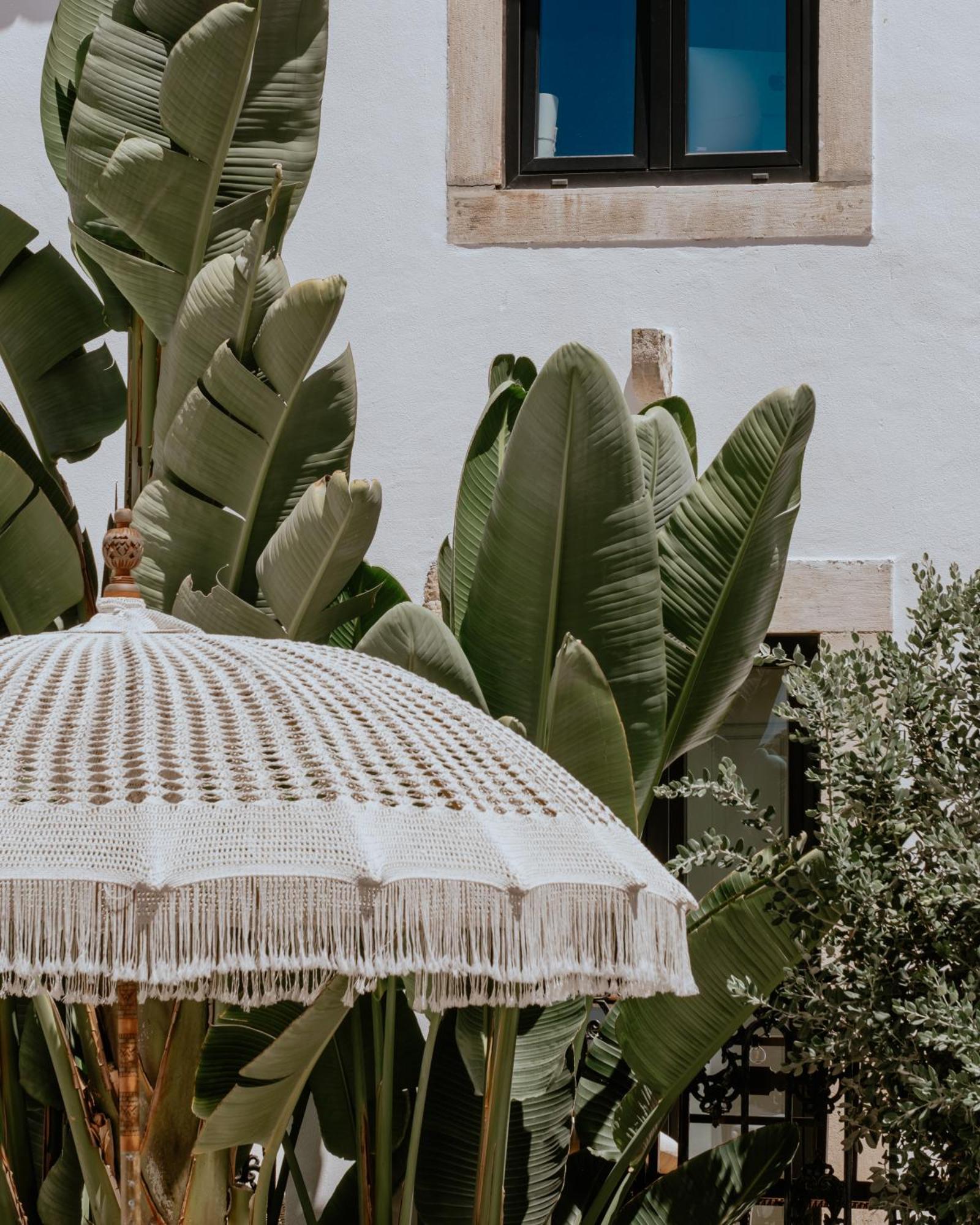فندق A Casa Brava Santarém المظهر الخارجي الصورة